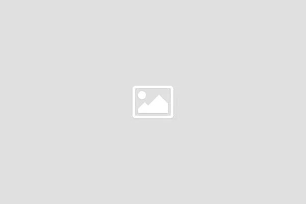 Logo - zur Startseite